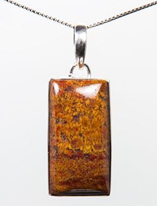 Bloody Basin Plume Agate Pendant