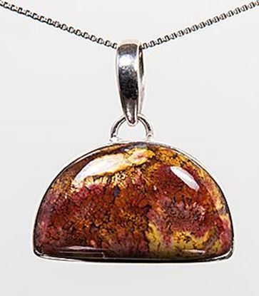 Bloody Basin Plume agate pendant