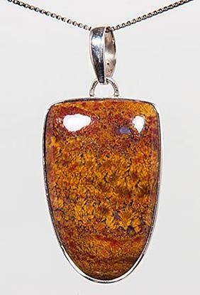 Bloody Basin Plume agate pendant