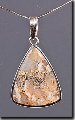 Graveyard Point Plume agate Silver Pendant