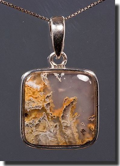 Graveyard Point Plume agate Silver Pendant