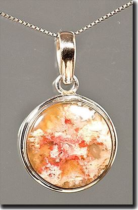 Regency Rose Plume Agate Silver Pendant