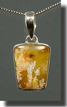 Regency Rose Plume Agate Silver Pendant