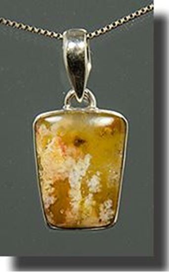 Regency Rose Plume Agate Silver Pendant