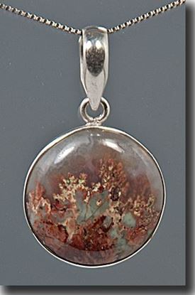 Prudent Man Plume Agate Silver Pendant