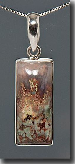 Prudent Man Plume Agate Silver Pendant