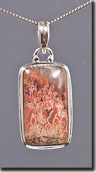 Prudent Man Plume Agate Silver Pendant