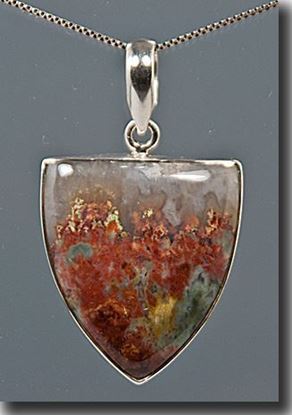 Prudent Man Plume Agate Silver Pendant