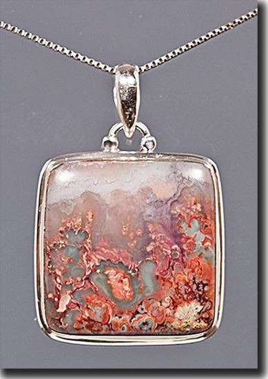 Picture of Idaho Prudent Man Plume Agate Silver Pendant