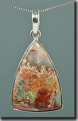 Prudent Man Plume Agate Silver Pendant