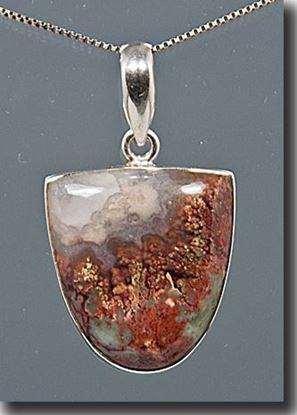 Prudent Man Plume Agate Silver Pendant