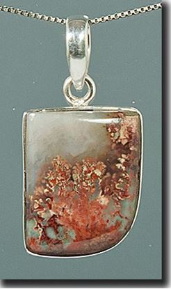 Prudent Man Plume Agate Silver Pendant