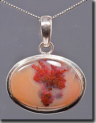 Woodward Ranch Plume Agate Silver Pendant