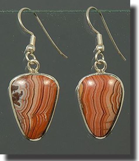 Dryhead Agate Silver Earrings