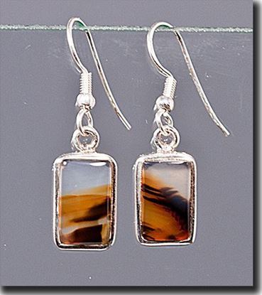 Montana Moss Agate Earrings