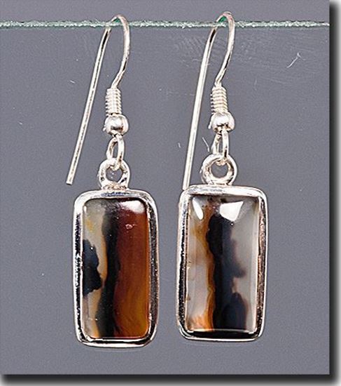 Montana Moss Agate Earrings