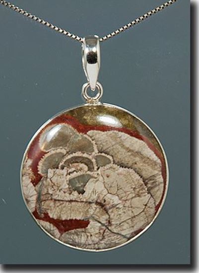 Mushroom Jasper Pendant