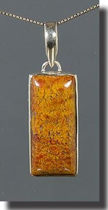 Bloody Basin Plume agate pendant