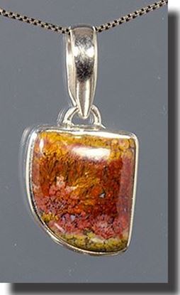 Bloody Basin Plume agate pendant