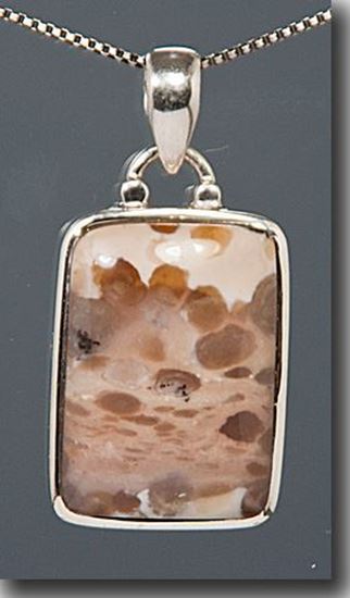 Petrified Bogwood Silver Pendant