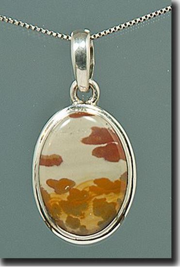 Owyhee War Bonnet Picture Jasper Silver Pendant