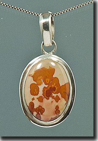 Owyhee War Bonnet Picture Jasper Silver Pendant