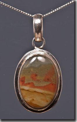 Owyhee War Bonnet Picture Jasper Silver Pendant