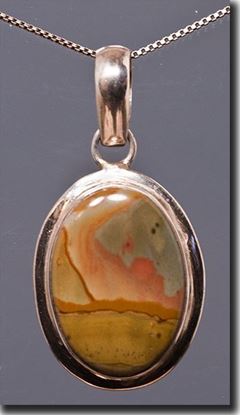 Owyhee War Bonnet Picture Jasper Silver Pendant