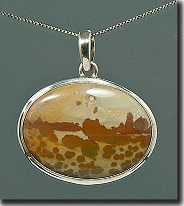 Owyhee War Bonnet Picture Jasper Silver Pendant