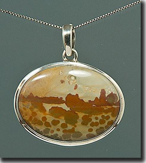 Owyhee War Bonnet Picture Jasper Silver Pendant