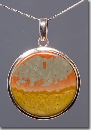 Owyhee War Bonnet Picture Jasper Silver Pendant