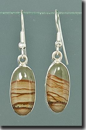 Owyhee Cripple Creek Picture Jasper Silver Earrings