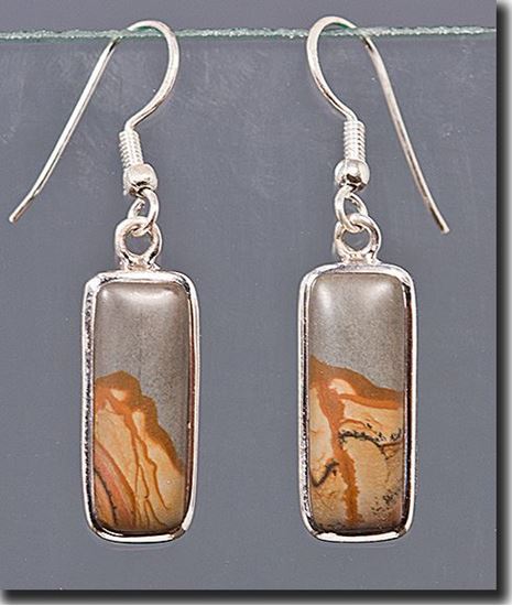 Owyhee Shadow Mountain Picture Jasper Silver Pendant