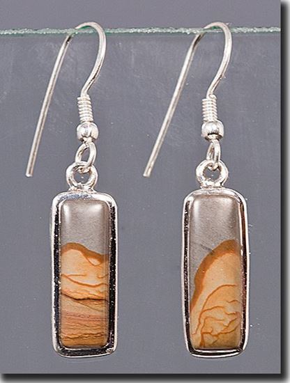 Owyhee Shadow Mountain Picture Jasper Silver Earrings