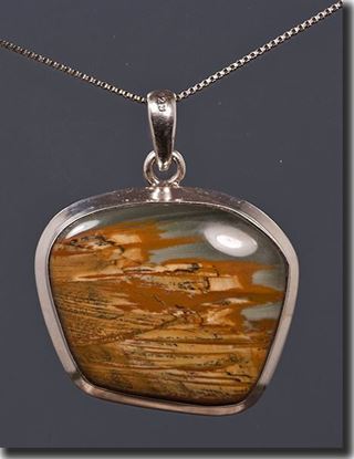 Owyhee LED Picture Jasper Silver Pendant