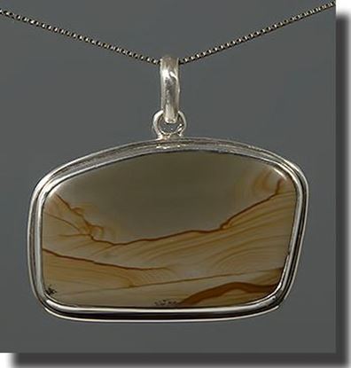 Owyhee Wild Horse Picture Jasper Silver Pendant