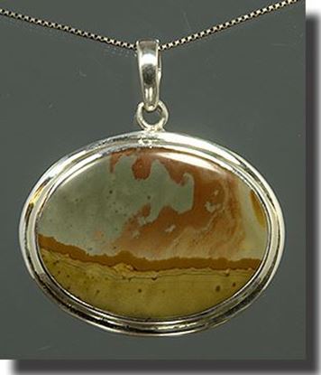 Owyhee War Bonnet Picture Jasper Silver Pendant