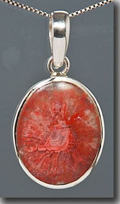 Utah Agatized Red Horn Coral Silver Pendant