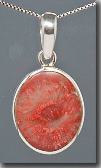 Agatized Utah Red Horn Coral Silver Pendant