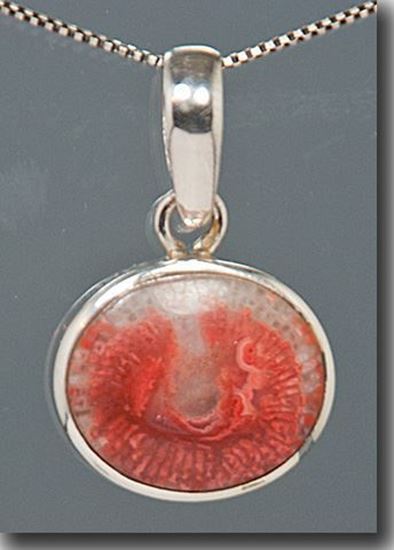 Agatized Utah Red Horn Coral Silver Pendant