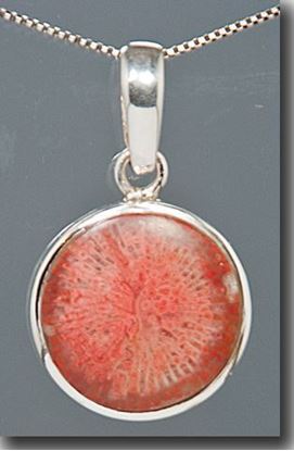 Agatized Utah Red Horn Coral Silver Pendant