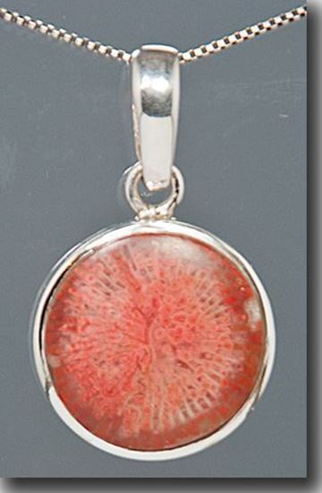 Agatized Utah Red Horn Coral Silver Pendant