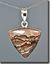 Biggs Picture Jasper Silver Pendant