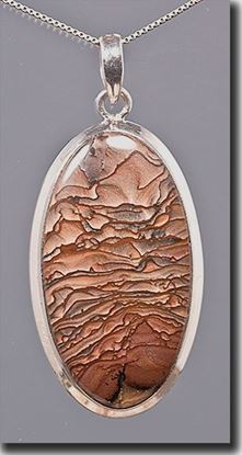 Oregon Deschutes Picture Jasper Silver Pendant