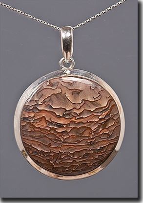 Oregon Deschutes Picture Jasper Silver Pendant