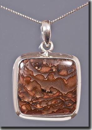 Oregon Deschutes Picture Jasper Silver Pendant