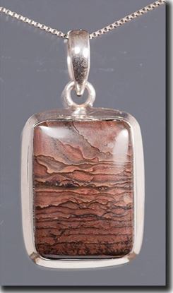 Oregon Deschutes Picture Jasper Silver Pendant