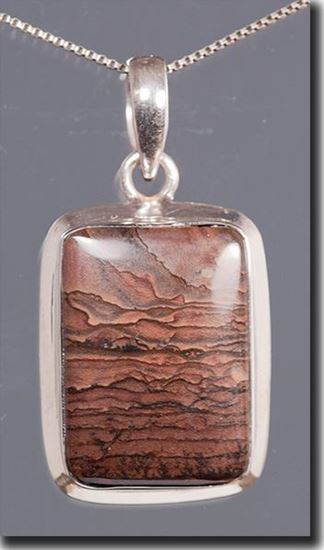 Oregon Deschutes Picture Jasper Silver Pendant