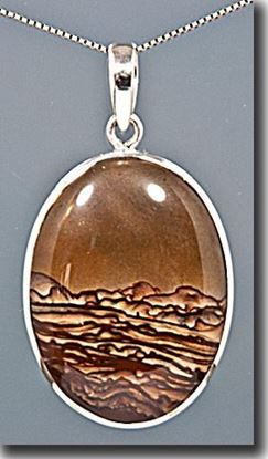 Oregon Deschutes picture Jasper Silver Pendant