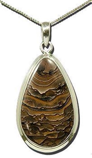 Oregon Deschutes Picture Jasper Silver Pendant 